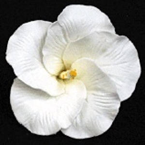 Hibiscus Flower 2 1/2″ 16 CT