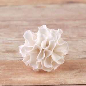 Carnation Single White 1″ 45 CT