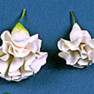 Carnation Single White 1 1/2″ 32 CT