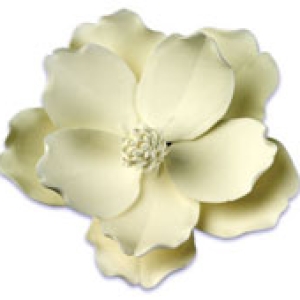 Magnolia White GP 4 1/2″x 4 1/2″ 9 CT