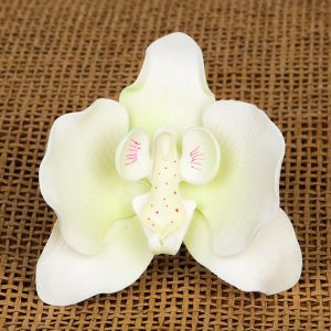Moth Orchid White 3.75″ 4 CT