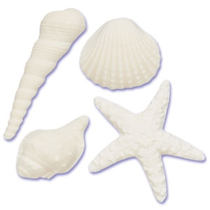 Sea Shells 4 Styles GP 3″ 12 CT