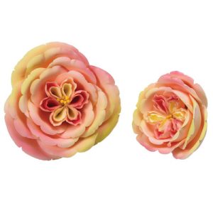 Apricot Nectar Rose Assorted 4 1/2″ & 5″ 10 CT
