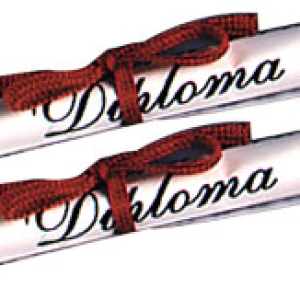 Diploma Paper Red Ribbon 3 1/2″ 36 CT