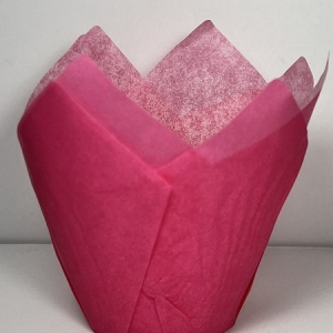 Pink Tulip Cup 2″ B x 6 1/4 x 6 1/4″ 100 CT