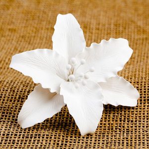 Casablanca Lilies White 5″ 6 CT