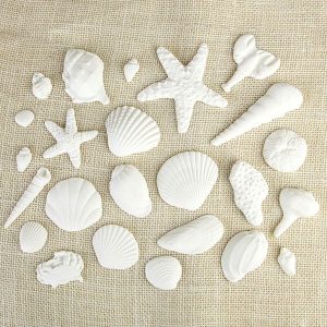 Sea Shells White .75″ – 4″ 24 CT