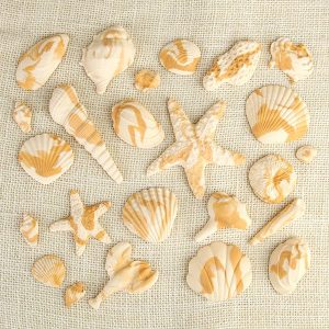 Sea Shells Marble Caramel .75″ – 4″ 24 CT
