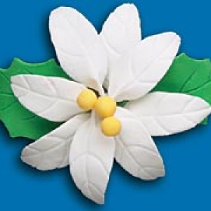 White Poinsettia Small Gum Paste 2 3/4″ 50 count