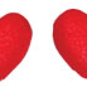 Mini Red Hearts 1/2″ Sugar Decorations 640 CT