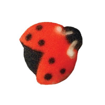 Lady Bugs Dec-Ons 3/4" 176 CT