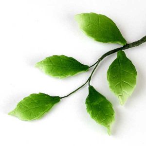 Rose Leaf Filler Green 24 CT