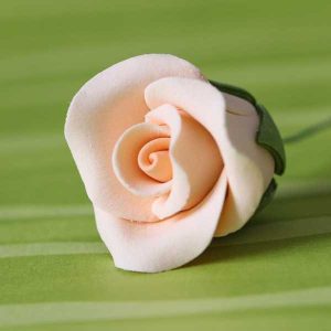 Tea Rose Peach GP Sm 1″x 1″ 35 CT