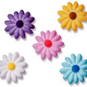 Daisies Medium Assorted Dec-Ons 1/8″ 300 CT