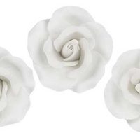 Rose White GP Med. 2"x 2" 28 CT