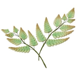 Airy Ferns GP 3 sizes 2 1/4″ – 7″ 12 CT