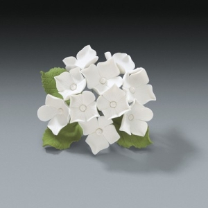 Hydrangea Bunch Assorted Size 10 CT