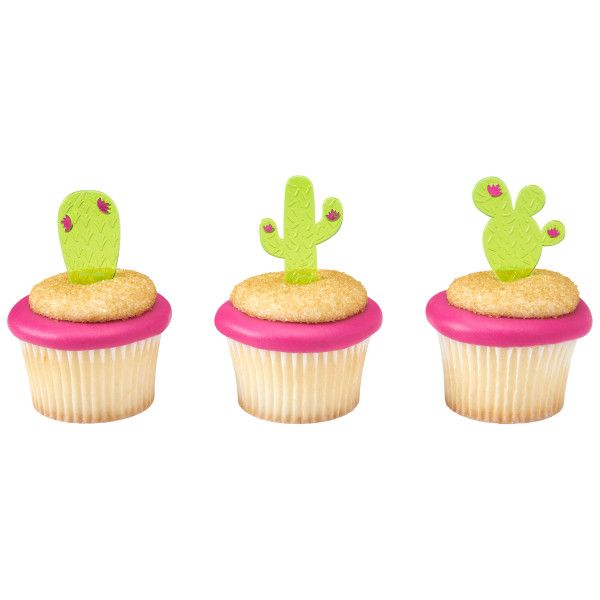 Cactus Assortment DecoPics 144 CT