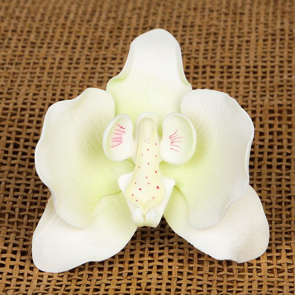 Single Moth Orchid White & Green 3.75" x 4" 9 CT
