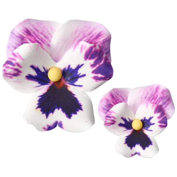 Purple Pansies Assortment GP 1.5" to 2.5" 24 CT