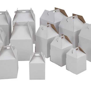 Tall Carrier  Box 16x16x18 10 CT