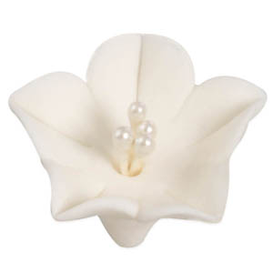 Agapanthus Small White 1" 40 CT