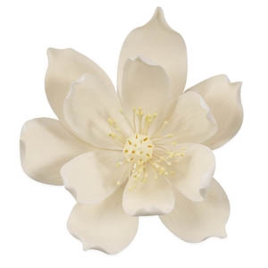 Lotus XL White GP 5″ 3 CT