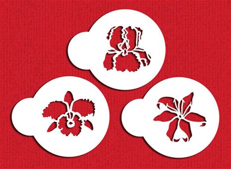 Stencil Exotic Flower 3 CT