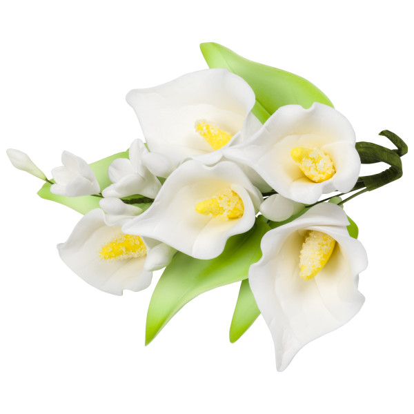 Calla Lily GP 4 1/2" 6 CT