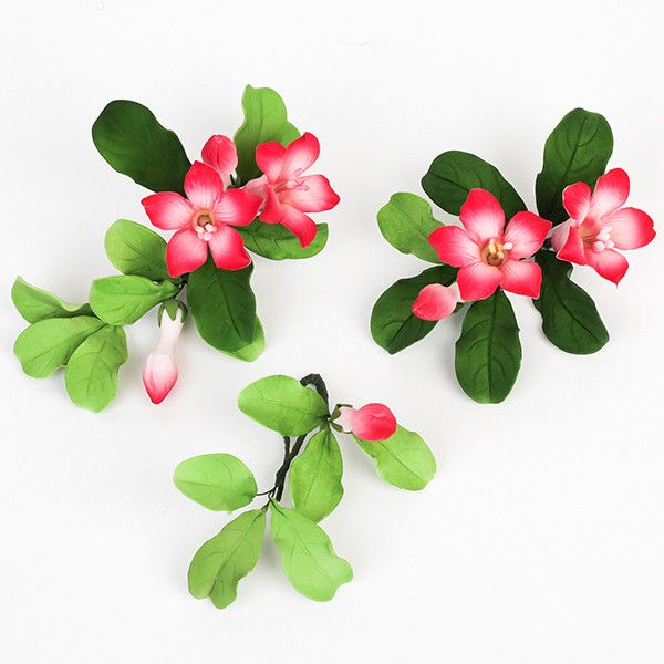 Cambodia Sprays Pink 9 CT
