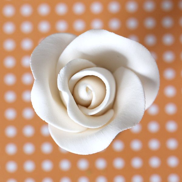 Tea Rose Ivory GP Sm 1"x 1" 35 CT