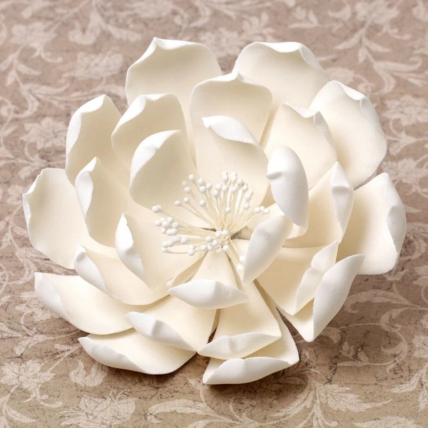Queen of the Night Dahlias White 5.75" 3 CT