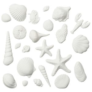 Sea Shell Assorted Wh GP .5″-3 3/4″ 23 CT