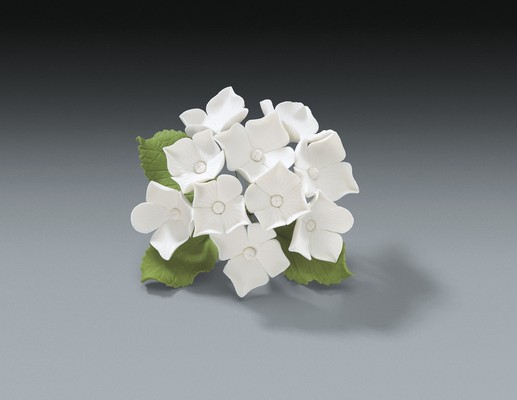 Hydrangea Bunch Assorted Size 10 CT