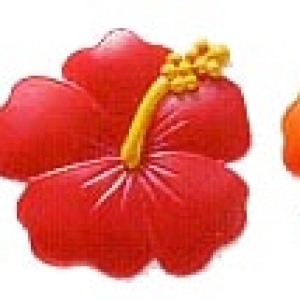 Hibiscus Flower Ring 1 3/4″ 144 CT