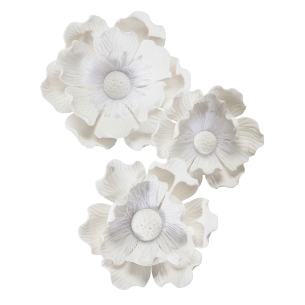 Poppy Assorted GP 12 CT