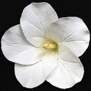 Hibiscus Flower White 3″ 9 CT