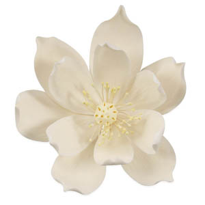 Lotus XL White GP 5" 3 CT
