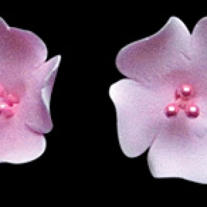 Fruit Blossom Pink 1″ 110 CT