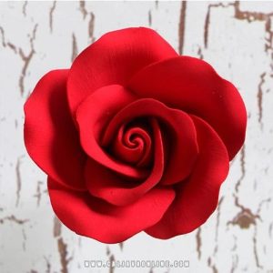 Rose Red GP Med 2″x 2″ 28 CT