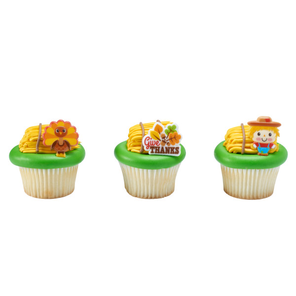 Harvest Friends Rings 144 CT