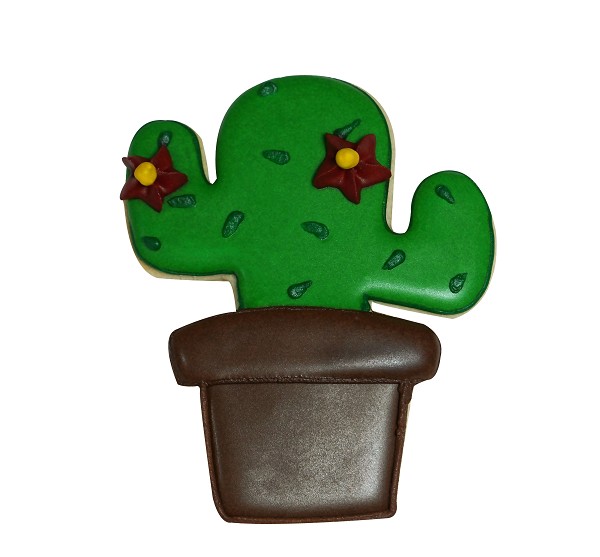 Cactus Pot 4" - Image 2