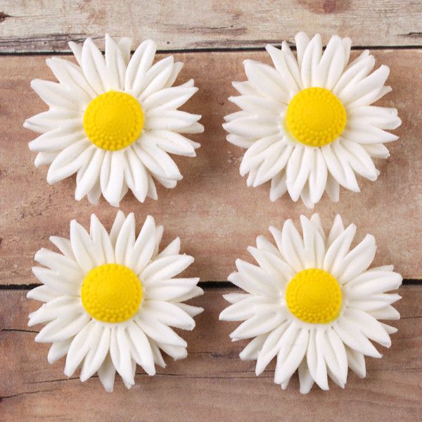 Petite Daisies White 1" 36 CT