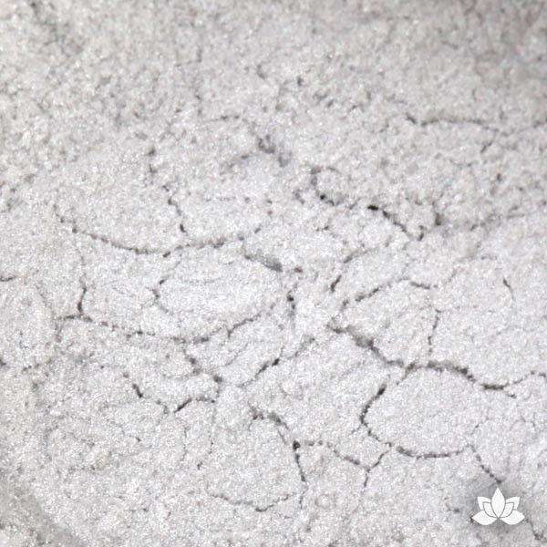 Coin Silver Luster Dust 4 OZ