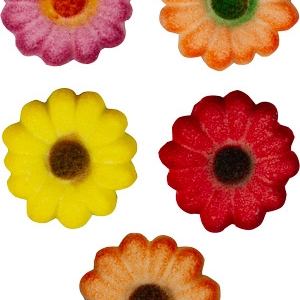 Autumn Daisies Pressed Sugar Decorations Assorted Colors 225 CT