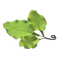 Leaves for Roses Green 3 1/2" 25 CT