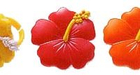 Hibiscus Flower Ring 1 3/4" 144 CT