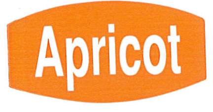 Apricot Labels 500 CT