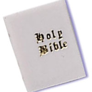 Holy Bibles Mini 1 3/4″ 48 CT