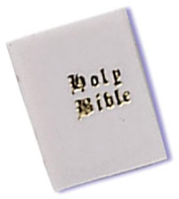 Holy Bibles Mini 1 3/4" 48 CT